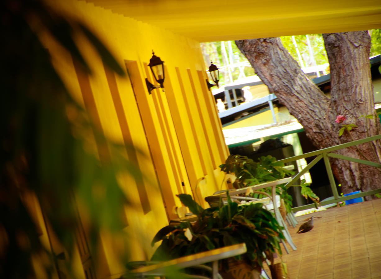Ravenswood Hotel المظهر الخارجي الصورة
